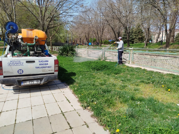 GAZİANTEP BÜYÜKŞEHİR, İLAÇLAMA ÇALIŞMALARINA AĞIRLIK VERDİ